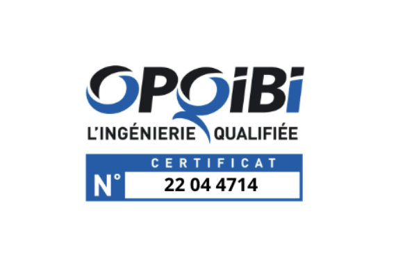 OPQIBI COGF GROUPE